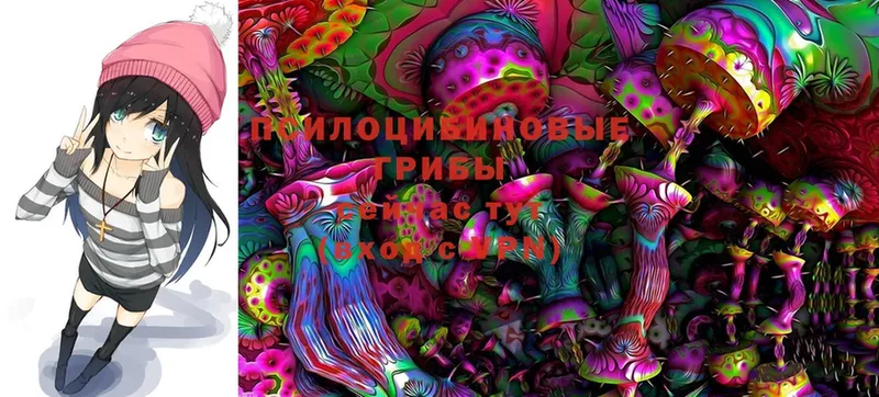 kraken как зайти  Малоярославец  Галлюциногенные грибы Magic Shrooms 