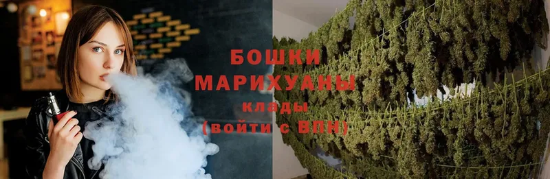 Бошки марихуана SATIVA & INDICA  Малоярославец 